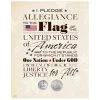 Wholesale 🌟 Pledge of Allegiance Bicentennial Quarter and Half Dollar Matted Coin by American Coin Treasures 🌟